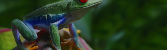 FILMING IN THE MOST WILD OF LOCATIONS